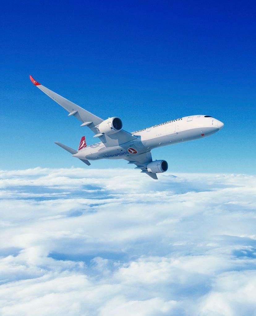Flight Bookings